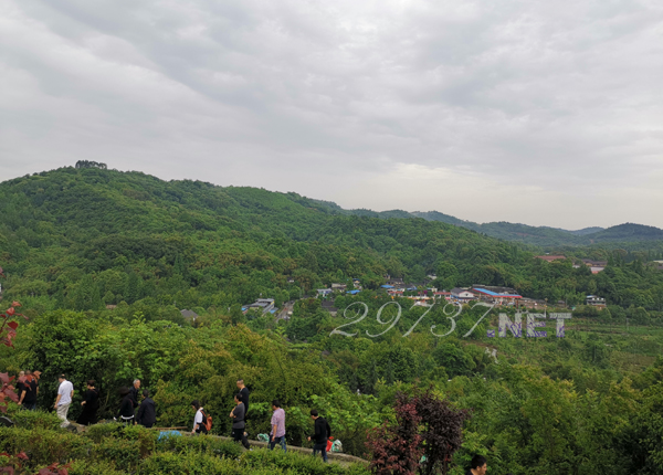 大邑金龙村金土坡公墓怎么样?金土坡公墓价格多少?金土坡公墓电话多少?