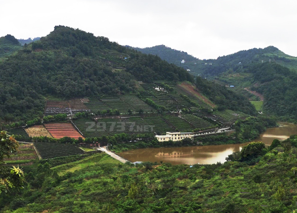 巽卦坐山龙泉山脉元宝山卧龙寺公墓