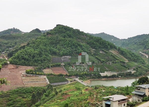 樱桃之乡元宝山简阳卧龙寺公墓